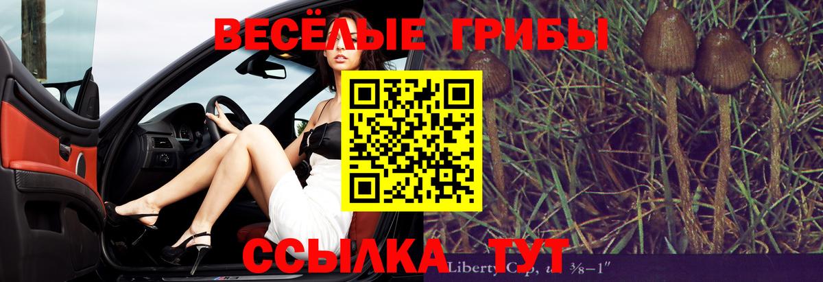 Галлюциногенные грибы Cubensis  Галлюциногенные грибы GOLDEN TEACHER  Вход с VPN  где купить наркоту  Тольятти 